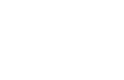Valor Cat Studios